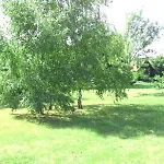La Maison Tournesol - 3 Bedroom House With Large Garden Near Saumur *