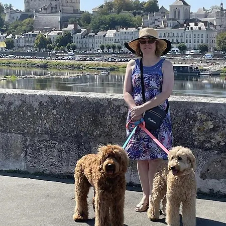 La Maison Tournesol - 3 Bedroom House With Large Garden Near Saumur Prázdninový dům *